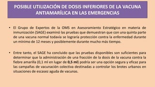 POSIBLE UTILIZACIÓN DE DOSIS INFERIORES DE LA VACUNA
ANTIAMARÍLICA EN LAS EMERGENCIAS
• El Grupo de Expertos de la OMS en Asesoramiento Estratégico en materia de
inmunización (SAGE) examinó las pruebas que demuestran que con una quinta parte
de una vacuna normal todavía se lograría protección contra la enfermedad durante
un mínimo de 12 meses y posiblemente durante mucho más tiempo.
• Entre tanto, el SAGE ha concluido que las pruebas disponibles son suficientes para
determinar que la administración de una fracción de la dosis de la vacuna contra la
fiebre amarilla (0,1 ml en lugar de 0,5 ml) podría ser una opción segura y eficaz para
las campañas de vacunación colectiva destinadas a controlar los brotes urbanos en
situaciones de escasez aguda de vacunas.
 