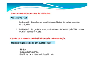 En muestras de pocos días de evolución:

Aislamiento viral

      •   la detección de antígenos por diversos métodos (inmufluorescencia,
          ELISA, etc).
                 ,   )

      •   la detección del genoma viral por técnicas moleculares (RT-PCR, Nasba,
          PCR en tiempo real, etc).


A partir de la semana desde el inicio de la sintomatología:

 Detectar la presencia de anticuerpos IgM


          - ELISA,
          - Inmunofluorescencia,
          - Inhibición de la Hemoaglutinación, etc
 