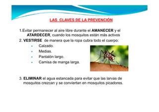 LAS CLAVES DE LA PREVENCIÓN
                                          Ó

1.Evitar
1 Evitar permanecer al aire libre durante el AMANECER y el
    ATARDECER, cuando los mosquitos están más activos
2. VESTIRSE de manera que la ropa cubra todo el cuerpo:
            Calzado.
            Medias.
            Pantalón largo
                     largo.
            Camisa de manga larga.



3. ELIMINAR el agua estancada para evitar que las larvas de
   mosquitos crezcan y se conviertan en mosquitos picadores.
 