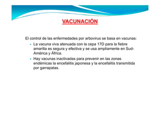VACUNACIÓN


El control de las enfermedades por arbovirus se basa en vacunas:
    La vacuna viva atenuada con la cepa 17D para la fiebre
    amarilla es segura y efectiva y se usa ampliamente en Sud-
    América y África.
    Hay vacunas inactivadas para prevenir en las zonas
    endémicas la encefalitis japonesa y la encefalitis transmitida
    p garrapatas.
    por g    p
 