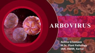 ARBOVIRUS
Aishna Srivastava
M.Sc. Plant Pathology
IARI, IIWBR, Karnal
 
