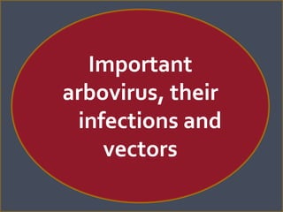 Important
arbovirus, their
infections and
vectors
 