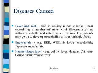 Arboviruses | PPT