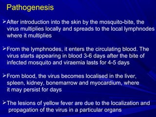 Arboviruses | PPT
