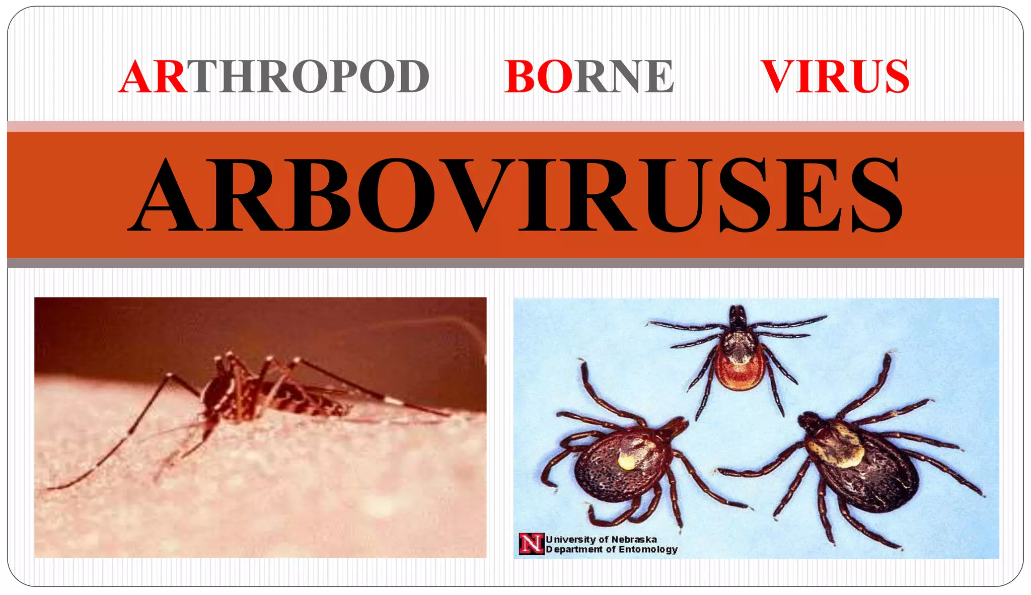Arboviruses PPTX
