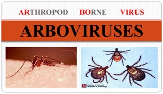 ARBOVIRUSES
ARTHROPOD BORNE VIRUS
 