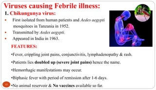 Arboviruses | PPTX