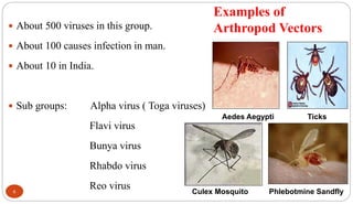 Arboviruses | PPTX
