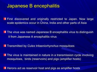 Japanese B encephalitis
Japanese B encephalitis
First discovered and originally restricted to Japan. Now large
First discovered and originally restricted to Japan. Now large
scale epidemics occur in China, India and other parts of Asia
scale epidemics occur in China, India and other parts of Asia
The virus was named Japanese B encephalitis virus to distinguish
The virus was named Japanese B encephalitis virus to distinguish
it from Japanese A encephalitis virus
it from Japanese A encephalitis virus
Transmitted by
Transmitted by Culex tritaeniorhynchus
Culex tritaeniorhynchus mosquitoes
mosquitoes
The virus is maintained in nature in a transmission cycle involving
The virus is maintained in nature in a transmission cycle involving
mosquitoes, birds (reservoirs) and pigs (amplifier hosts)
mosquitoes, birds (reservoirs) and pigs (amplifier hosts)
Herons act as reservoir host and pigs as amplifier hosts
Herons act as reservoir host and pigs as amplifier hosts
 