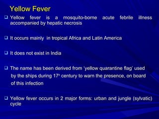 Yellow Fever
Yellow Fever
 Yellow fever is a mosquito-borne acute febrile illness
Yellow fever is a mosquito-borne acute febrile illness
accompanied by hepatic necrosis
accompanied by hepatic necrosis
 It occurs mainly in tropical Africa and Latin America
It occurs mainly in tropical Africa and Latin America
 It does not exist in India
It does not exist in India
 The name has been derived from ‘yellow quarantine flag’ used
The name has been derived from ‘yellow quarantine flag’ used
by the ships during 17
by the ships during 17th
th
century to warn the presence, on board
century to warn the presence, on board
of this infection
of this infection
 Yellow fever occurs in 2 major forms: urban and jungle (sylvatic)
Yellow fever occurs in 2 major forms: urban and jungle (sylvatic)
cycle
cycle
 