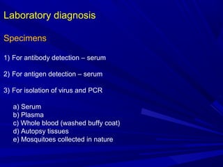 Laboratory diagnosis
Specimens
1) For antibody detection – serum
2) For antigen detection – serum
3) For isolation of virus and PCR
a) Serum
b) Plasma
c) Whole blood (washed buffy coat)
d) Autopsy tissues
e) Mosquitoes collected in nature
 