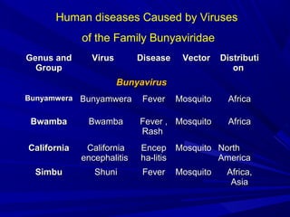 Genus and
Genus and
Group
Group
Virus
Virus Disease
Disease Vector
Vector Distributi
Distributi
on
on
Bunyavirus
Bunyavirus
Bunyamwera
Bunyamwera Bunyamwera
Bunyamwera Fever
Fever Mosquito
Mosquito Africa
Africa
Bwamba
Bwamba Bwamba
Bwamba Fever ,
Fever ,
Rash
Rash
Mosquito
Mosquito Africa
Africa
California
California California
California
encephalitis
encephalitis
Encep
Encep
ha-litis
ha-litis
Mosquito
Mosquito North
North
America
America
Simbu
Simbu Shuni
Shuni Fever
Fever Mosquito
Mosquito Africa,
Africa,
Asia
Asia
Human diseases Caused by Viruses
of the Family Bunyaviridae
 