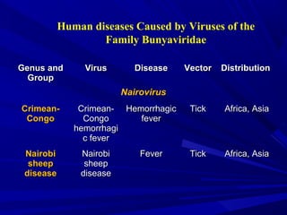 Human diseases Caused by Viruses of the
Family Bunyaviridae
Genus and
Genus and
Group
Group
Virus
Virus Disease
Disease Vector
Vector Distribution
Distribution
Nairovirus
Nairovirus
Crimean-
Crimean-
Congo
Congo
Crimean-
Crimean-
Congo
Congo
hemorrhagi
hemorrhagi
c fever
c fever
Hemorrhagic
Hemorrhagic
fever
fever
Tick
Tick Africa, Asia
Africa, Asia
Nairobi
Nairobi
sheep
sheep
disease
disease
Nairobi
Nairobi
sheep
sheep
disease
disease
Fever
Fever Tick
Tick Africa, Asia
Africa, Asia
 