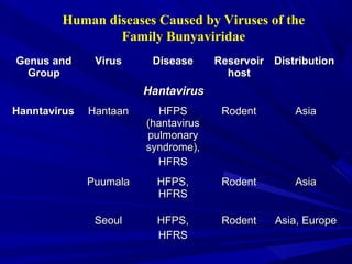 Human diseases Caused by Viruses of the
Family Bunyaviridae
Genus and
Genus and
Group
Group
Virus
Virus Disease
Disease Reservoir
Reservoir
host
host
Distribution
Distribution
Hantavirus
Hantavirus
Hanntavirus
Hanntavirus Hantaan
Hantaan HFPS
HFPS
(hantavirus
(hantavirus
pulmonary
pulmonary
syndrome),
syndrome),
HFRS
HFRS
Rodent
Rodent Asia
Asia
Puumala
Puumala HFPS,
HFPS,
HFRS
HFRS
Rodent
Rodent Asia
Asia
Seoul
Seoul HFPS,
HFPS,
HFRS
HFRS
Rodent
Rodent Asia, Europe
Asia, Europe
 