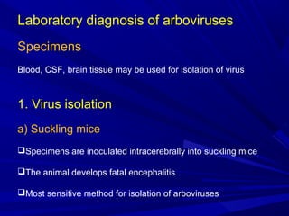 Laboratory diagnosis of arboviruses
Specimens
Blood, CSF, brain tissue may be used for isolation of virus
1. Virus isolation
a) Suckling mice
Specimens are inoculated intracerebrally into suckling mice
The animal develops fatal encephalitis
Most sensitive method for isolation of arboviruses
 