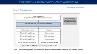 Zika Testing Algorithm Comprehensive overview of Mosquito-borne Arboviruses | PPTX