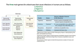 The main genera for arboviruses that cause infections in humans are as follows:
 