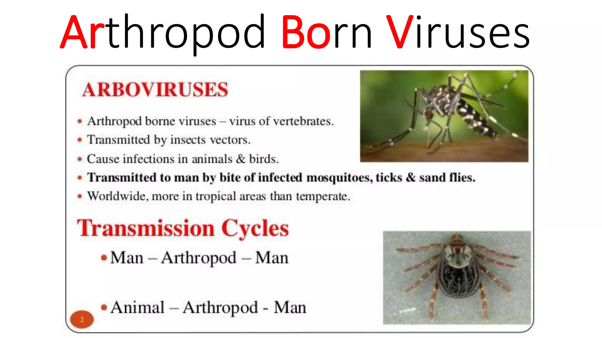 Arbo virus notes PPTX