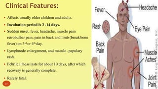 Clinical Features:
 Affects usually older children and adults.
 Incubation period is 3 -14 days.
 Sudden onset, fever, headache, muscle pain
retrobulbar pain, pain in back and limb (break bone
fever) on 3rd or 4th day.
 Lymphnode enlargement, and maculo -papulary
rash.
 Febrile illness lasts for about 10 days, after which
recovery is generally complete.
 Rarely fatal.
23
 
