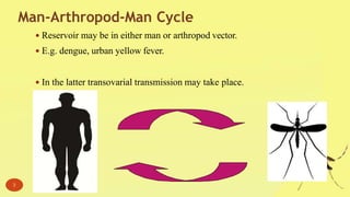 Man-Arthropod-Man Cycle
 Reservoir may be in either man or arthropod vector.
 E.g. dengue, urban yellow fever.
 In the latter transovarial transmission may take place.
3
 
