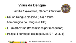Família Flaviviridae, Gênero Flavivirus
 Causa Dengue clássico (DC) e febre
hemorrágica do Dengue (FHD)
 É um arbovírus (transmitidos por mosquitos)
 Possui 4 sorotipos distintos (DENV-1, 2, 3, 4)
Vírus da Dengue
14/03/2016 Prof. MSc. Clovis Roberto Gurski - BIÓLOGO 12
 