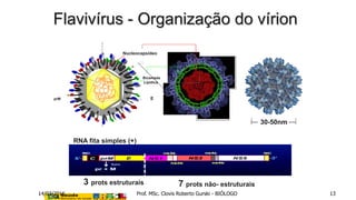 Flavivírus - Organização do vírion
RNA fita simples (+)
prM
Bicamada
Lipídica
E
Nucleocapsídeo
3 prots estruturais 7 prots não- estruturais
30-50nm
14/03/2016 Prof. MSc. Clovis Roberto Gurski - BIÓLOGO 13
 