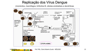 ADSORÇÃO
Vírus – Célula
hospedeira
via
receptor
celular
CITOPLASMA
MONTAGEM
do
nucleocapsídeo
Diminuição do pH
Fusão da membrana
do vírus
Prot. E sofre
mudança
conformacional
Nucleocapsídeo é
liberado no
citoplasma
DESNUDAMENTO
ssRNA(+)
genômico
ssRNA(+)
TRADUÇÃO
Mediada pelo CAP
CITOPLASMA
poliproteína
Proteínas
Não-estruturais
Proteínas
Estruturais
Proteases virais
e celulares
Helicase + RNA
polimerase RNA-
dependente &
Cofatores
Progênies de
ssRNA (+)
Síntese de molde
de ssRNA (-)ENDOCITOSE
MORFOGÊNESE
VIRAL
Ocorre no
RER LIBERAÇÃO
Via secretora
do Complexo
de Golgi
Replicação dos Vírus Dengue
(monócitos, macrófagos, linfócitos B, células endoteliais e dendríticas
14/03/2016 Prof. MSc. Clovis Roberto Gurski - BIÓLOGO 15
 