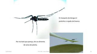 Por incrível que pareça, ele se alimenta
de seiva de planta.
O mosquito da dengue é
pretinho e rajado de branco.
14/03/2016 Prof. MSc. Clovis Roberto Gurski - BIÓLOGO 18
 