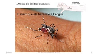 A Mosquita pica para botar seus ovinhos.
É assim que ela transmite a Dengue.
Ana Vitoria Andriolli
E.M. Diva M. Gouveia
14/03/2016 Prof. MSc. Clovis Roberto Gurski - BIÓLOGO 19
 