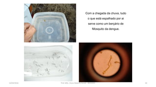 Com a chegada da chuva, tudo
o que está espalhado por ai
serve como um berçário de
Mosquito da dengue.
14/03/2016 Prof. MSc. Clovis Roberto Gurski - BIÓLOGO 20
 