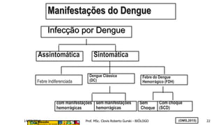 (OMS,2015)
Manifestações do Dengue
Assintomática Sintomática
Febre Indiferenciada
Dengue Clássica
(DC)
Febre do Dengue
Hemorrágico (FDH)
com manifestações
hemorrágicas
Infecção por Dengue
Sem
Choque
Com choque
(SCD)
sem manifestações
hemorrágicas
14/03/2016 Prof. MSc. Clovis Roberto Gurski - BIÓLOGO 22
 
