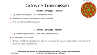 Ciclos de Transmissão
 Homem - artrópode - homem
 e.g. Dengue, Chikungunya, Zika, Febre amarela urbana.
 Reservatório pode ser ou o homem ou o vetor artrópode.
 Pode haver transmissão transvoariam.
 Animal - artrópode - homem
 e.g. Encefalites equinas Leste e Oeste, Febre amarela selvática.
 O reservatório é um animal.
 O vírus é mantido na natureza em um ciclo de transmissão Envolvendo o vetor artrópode e um animal. O
homem se infecta incidentalmente.
 Ambos ciclos podem ocorrer com alguns arbovírus, como a Febre amarela.
Vírus Chikungunya
14/03/2016 Prof. MSc. Clovis Roberto Gurski - BIÓLOGO 3
 
