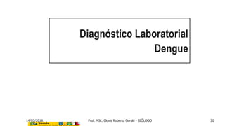 Diagnóstico Laboratorial
Dengue
14/03/2016 Prof. MSc. Clovis Roberto Gurski - BIÓLOGO 30
 