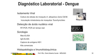  Isolamento Viral
 Cultura de células de mosquito A. albopictus clone C6/36
 Inoculação intratoráxica de mosquitos Toxorhynchites
 Detecção de ácido nucléico viral
 RT-PCR, PCR em tempo real
 Sorologia
 Mac-ELISA
 IgG-ELISA
 Captura de antígeno NS1
 Kits comerciais
 Histopatologia e Imunohistoquímica
Diagnóstico Laboratorial - Dengue
14/03/2016 Prof. MSc. Clovis Roberto Gurski - BIÓLOGO 32
 