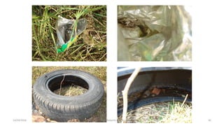 14/03/2016 Prof. MSc. Clovis Roberto Gurski - BIÓLOGO 45
 