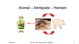 Animal – Artrópode – Homem
14/03/2016 Prof. MSc. Clovis Roberto Gurski - BIÓLOGO 5
 