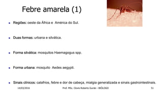 Febre amarela (1)
 Regiões: oeste da África e América do Sul.
 Duas formas: urbana e silvática.
 Forma silvática: mosquitos Haemagogus spp.
 Forma urbana: mosquito Aedes aegypti.
 Sinais clínicos: calafrios, febre e dor de cabeça, mialgia generalizada e sinais gastrointestinais.
14/03/2016 Prof. MSc. Clovis Roberto Gurski - BIÓLOGO 51
 