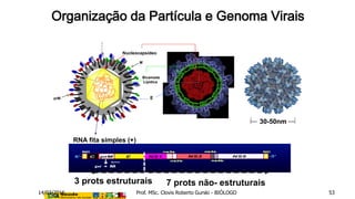 Organização da Partícula e Genoma Virais
RNA fita simples (+)
prM
Bicamada
Lipídica
M
E
Nucleocapsídeo
3 prots estruturais 7 prots não- estruturais
30-50nm
14/03/2016 Prof. MSc. Clovis Roberto Gurski - BIÓLOGO 53
 