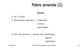 Febre amarela (2)
Sinais:
 PI 3 a 4 dias
 Severamente infectados=> bradicardia
icterícia
hemorragias.
 50% dos pacientes => doença fatal: hemorragias
oliguria
hipotensão.
14/03/2016 Prof. MSc. Clovis Roberto Gurski - BIÓLOGO 56
 