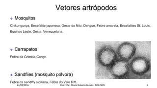 Vetores artrópodos
 Mosquitos
Chikungunya, Encefalite japonesa, Oeste do Nilo, Dengue, Febre amarela, Encefalites St. Louis,
Equinas Leste, Oeste, Venezuelana.
 Carrapatos
Febre da Criméia-Congo.
 Sandflies (mosquito pólvora)
Febre da sandlfly siciliana, Febre do Vale Rift.
14/03/2016 Prof. MSc. Clovis Roberto Gurski - BIÓLOGO 6
 
