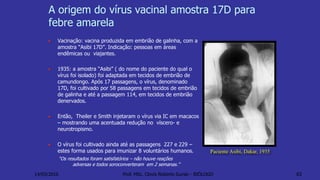 A origem do vírus vacinal amostra 17D para
febre amarela
Vacinação: vacina produzida em embrião de galinha, com a
amostra “Asibi 17D”. Indicação: pessoas em áreas
endêmicas ou viajantes.
1935: a amostra “Asibi” ( do nome do paciente do qual o
vírus foi isolado) foi adaptada em tecidos de embrião de
camundongo. Após 17 passagens, o vírus, denominado
17D, foi cultivado por 58 passagens em tecidos de embrião
de galinha e até a passagem 114, em tecidos de embrião
denervados.
Então, Theiler e Smith injetaram o vírus via IC em macacos
– mostrando uma acentuada redução no víscero- e
neurotropismo.
O vírus foi cultivado ainda até as passagens 227 e 229 –
estes forma usados para imunizar 8 voluntários humanos.
“Os resultados foram satisfatórios – não houve reações
adversas e todos soroconverteram em 2 semanas.”
Paciente Asibi, Dakar, 1935
14/03/2016 Prof. MSc. Clovis Roberto Gurski - BIÓLOGO 63
 