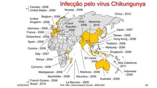 Infecção pelo vírus Chikungunya
14/03/2016 Prof. MSc. Clovis Roberto Gurski - BIÓLOGO 66
 