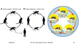 14/03/2016 Prof. MSc. Clovis Roberto Gurski - BIÓLOGO 69
 