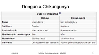 Dengue x Chikungunya
14/03/2016 Prof. MSc. Clovis Roberto Gurski - BIÓLOGO 79
 