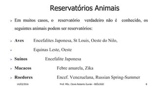 Reservatórios Animais
 Em muitos casos, o reservatório verdadeiro não é conhecido, os
seguintes animais podem ser reservatórios:
 Aves Encefalites Japonesa, St Louis, Oeste do Nilo,
 Equinas Leste, Oeste
 Suínos Encefalite Japonesa
 Macacos Febre amarela, Zika
 Roedores Encef. Venezuelana, Russian Spring-Summer
14/03/2016 Prof. MSc. Clovis Roberto Gurski - BIÓLOGO 8
 
