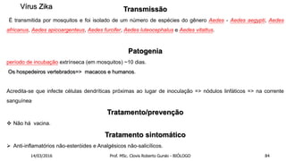 Transmissão
É transmitida por mosquitos e foi isolado de um número de espécies do gênero Aedes - Aedes aegypti, Aedes
africanus, Aedes apicoargenteus, Aedes furcifer, Aedes luteocephalus e Aedes vitattus.
Patogenia
período de incubação extrínseca (em mosquitos) ~10 dias.
Os hospedeiros vertebrados=> macacos e humanos.
Acredita-se que infecte células dendríticas próximas ao lugar de inoculação => nódulos linfáticos => na corrente
sanguínea.
Tratamento/prevenção
 Não há vacina.
Tratamento sintomático
 Anti-inflamatórios não-esteróides e Analgésicos não-salicílicos.
Vírus Zika
14/03/2016 Prof. MSc. Clovis Roberto Gurski - BIÓLOGO 84
 