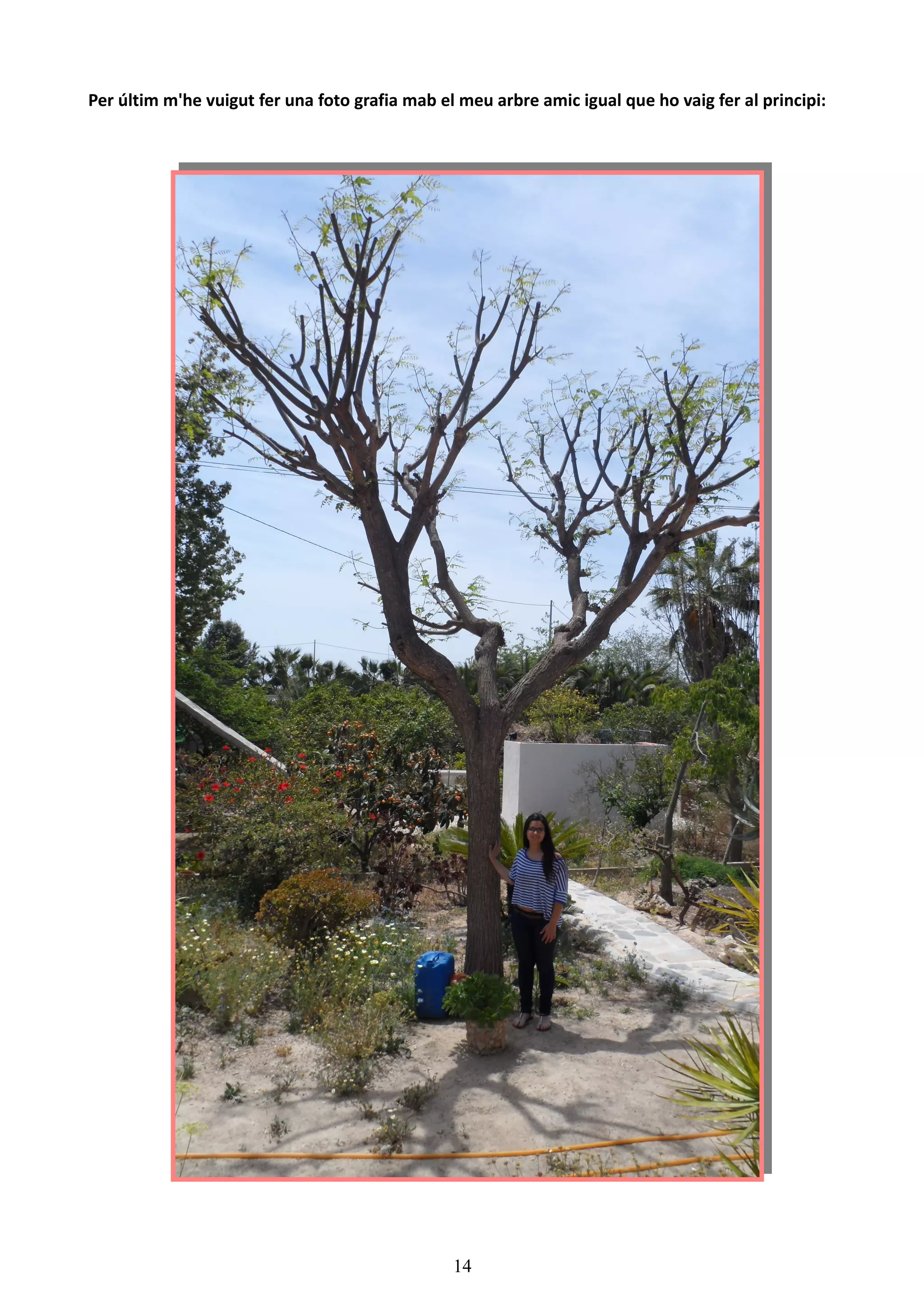 Per últim m'he vuigut fer una foto grafia mab el meu arbre amic igual que ho vaig fer al principi:




                                                14
 