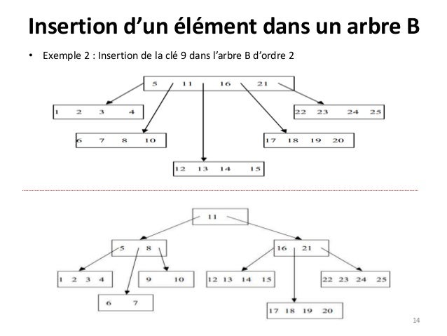 arbre en b