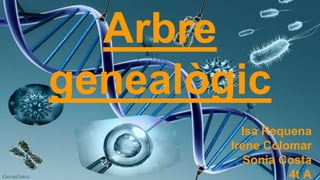 Arbre 
genealògic 
Isa Requena 
Irene Colomar 
Sonia Costa 
4t A 
 