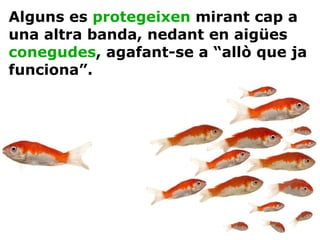 Alguns es  protegeixen  mirant cap a una altra banda, nedant en aigües  conegudes , agafant-se a “allò que ja funciona”. 
